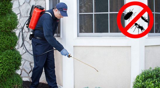 Yenişarbademli Tahtakurusu İlaçlama böcek ilaçlama ve haşere kontrolü — ilaclama-tr.com